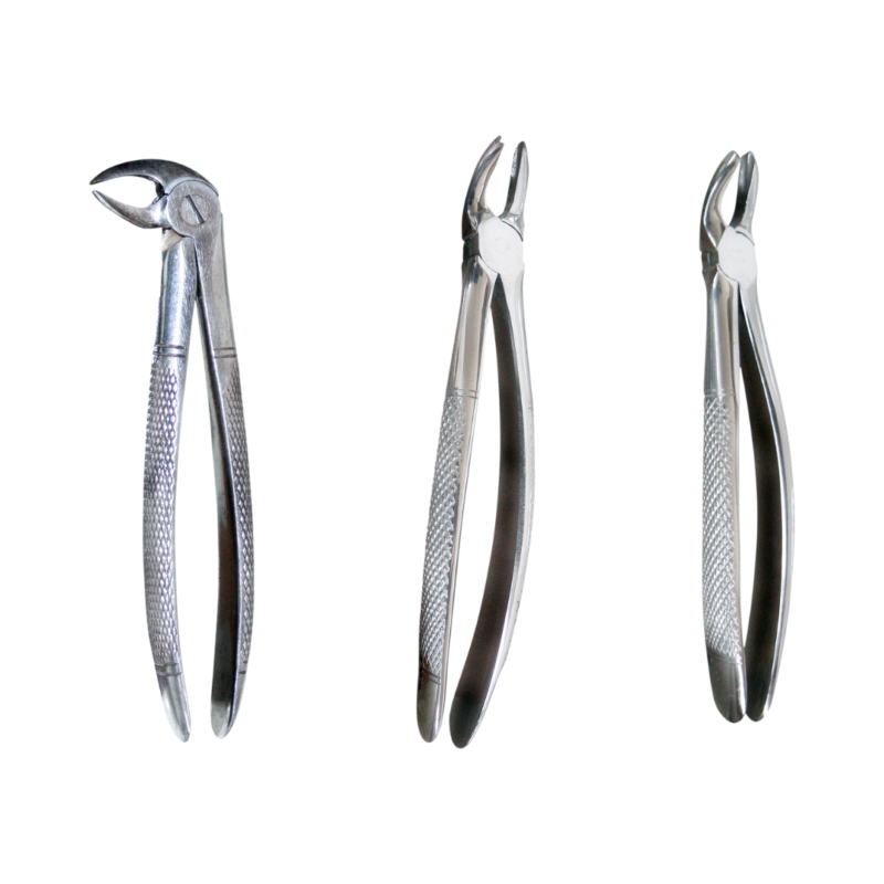 Extraction Forceps - English Pattern